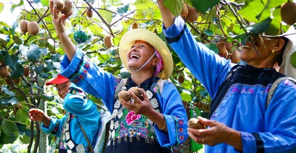 中国石化发布助力乡村振兴计划