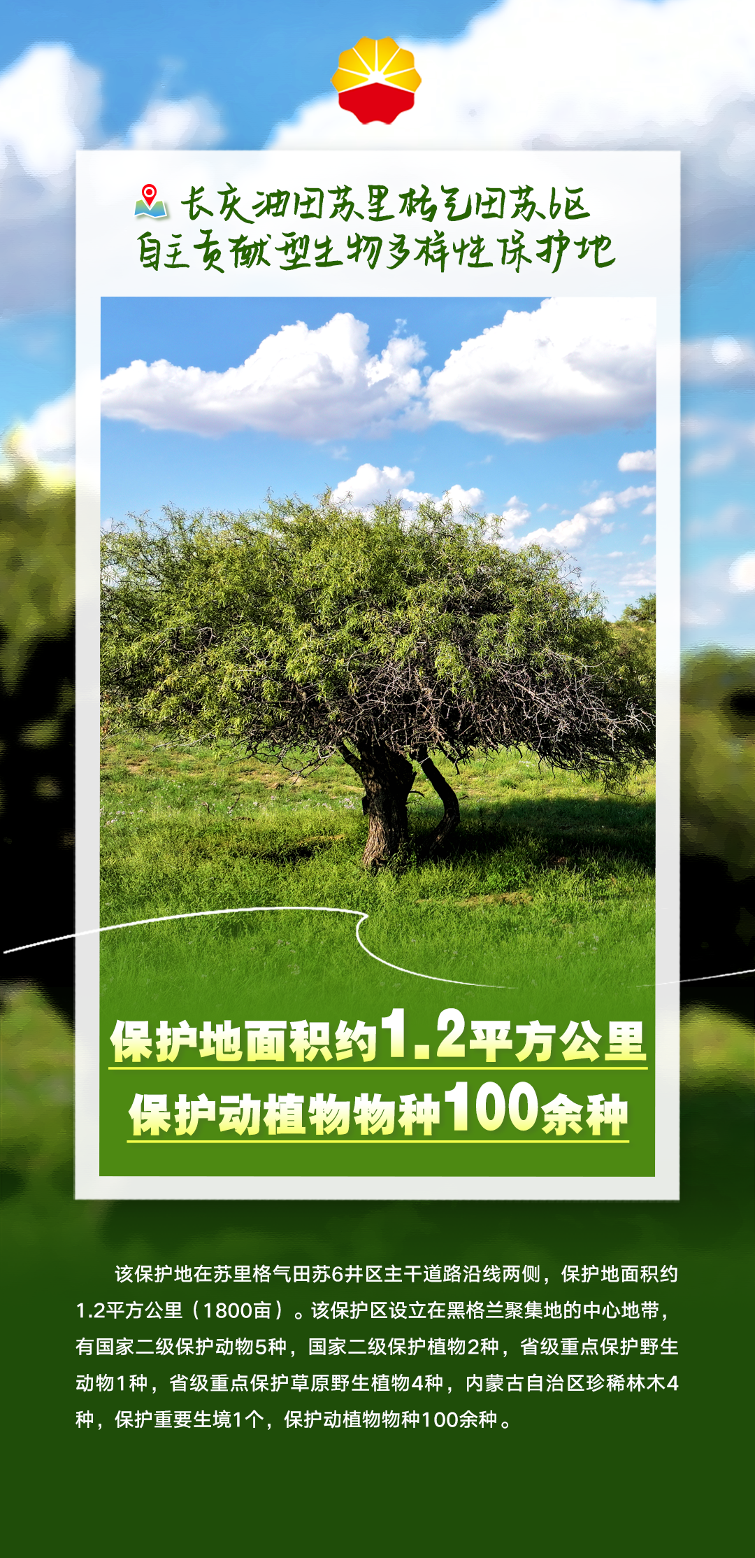 官宣！正式发布！