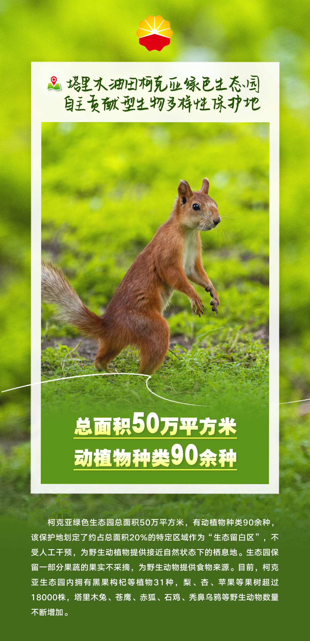 官宣！正式发布！