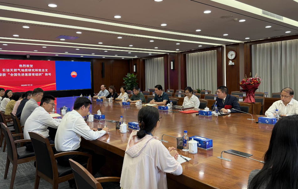 把党旗插在油气勘探最前线——石油天然气地质研究所党总支加强党建工作纪实