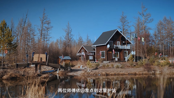 华为智慧屏服务的故事，写进林海、沙漠与高原